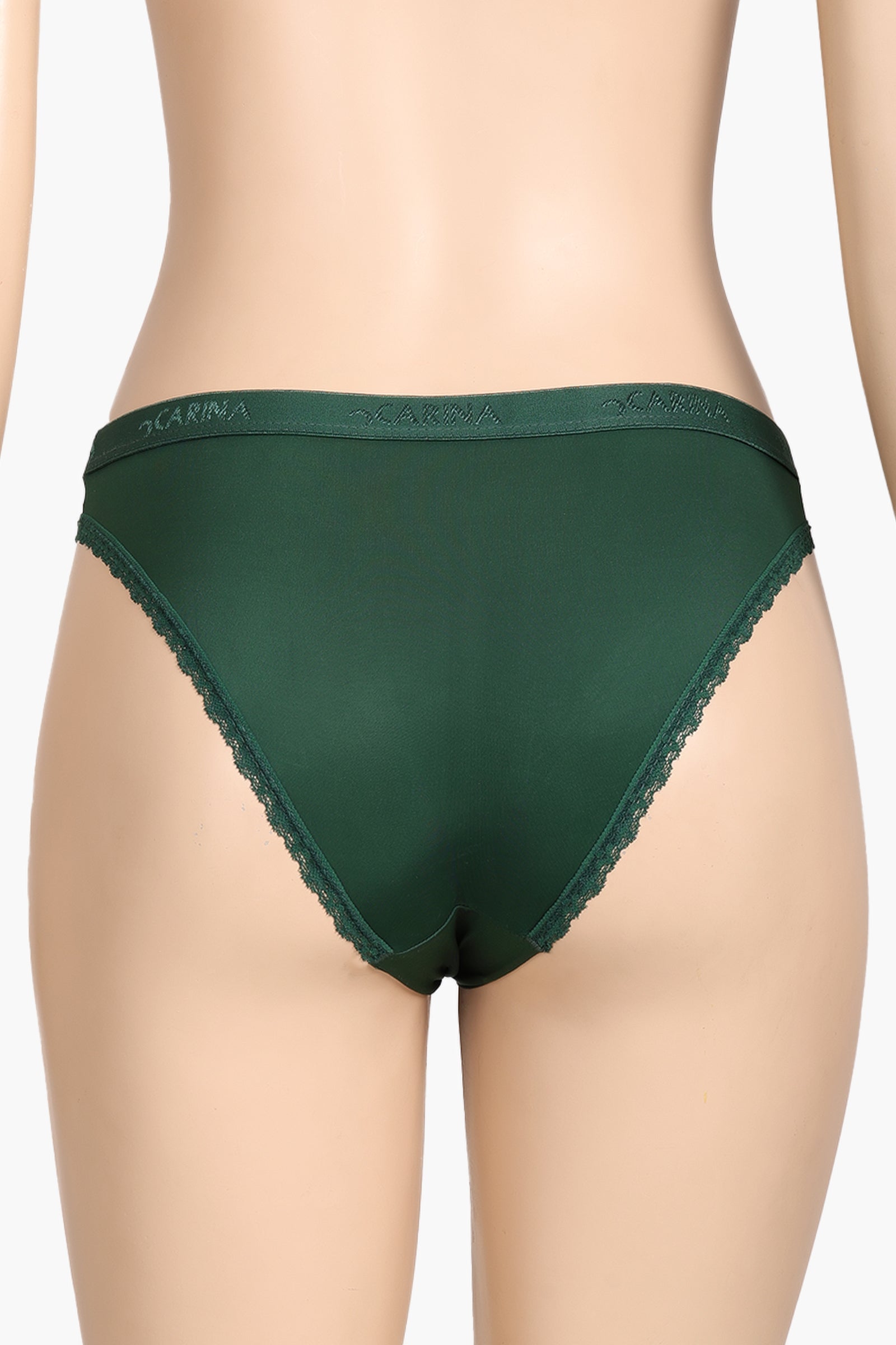 Sheer Mesh Detail Panty