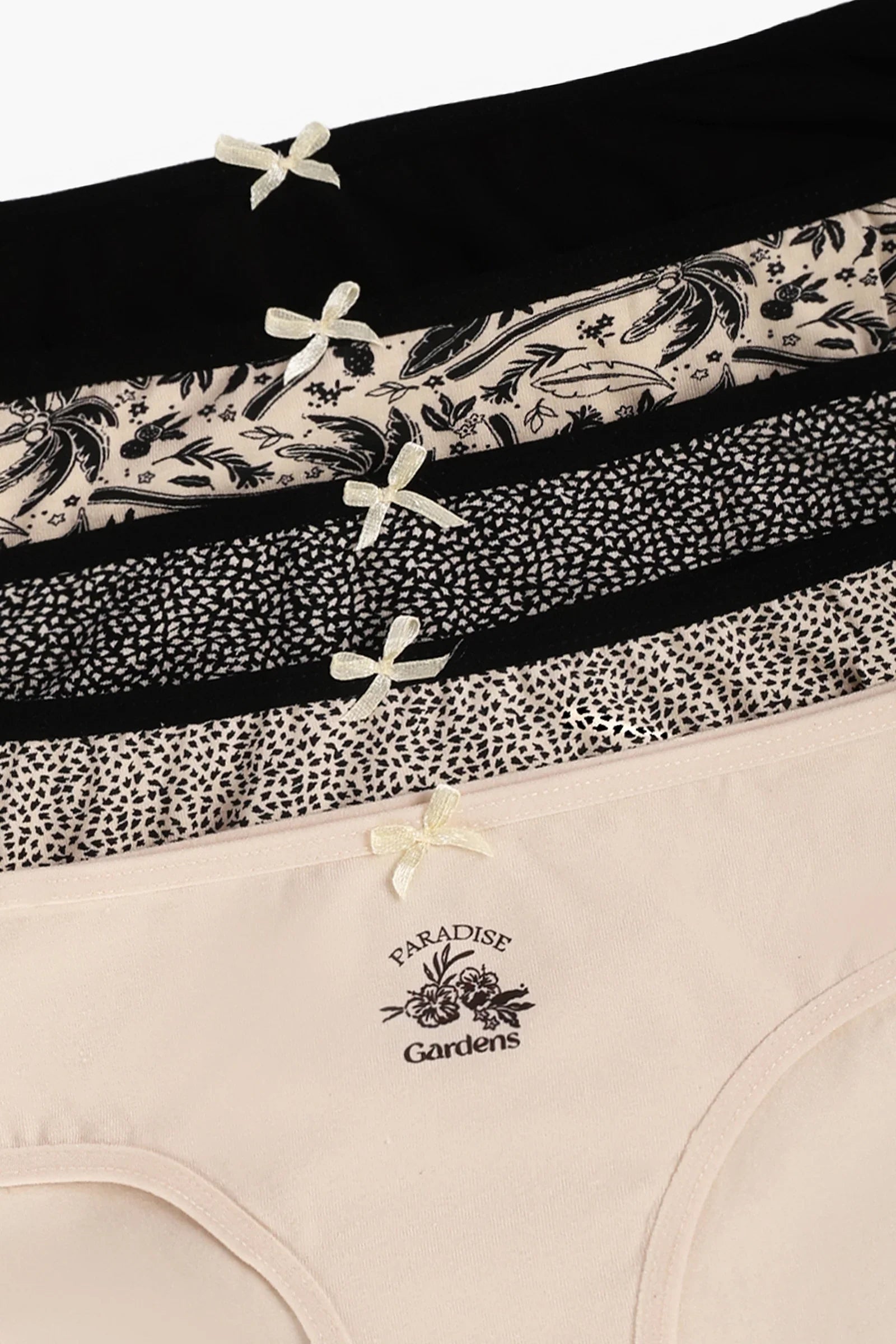 Pack of 5 Colored Bikini Panties