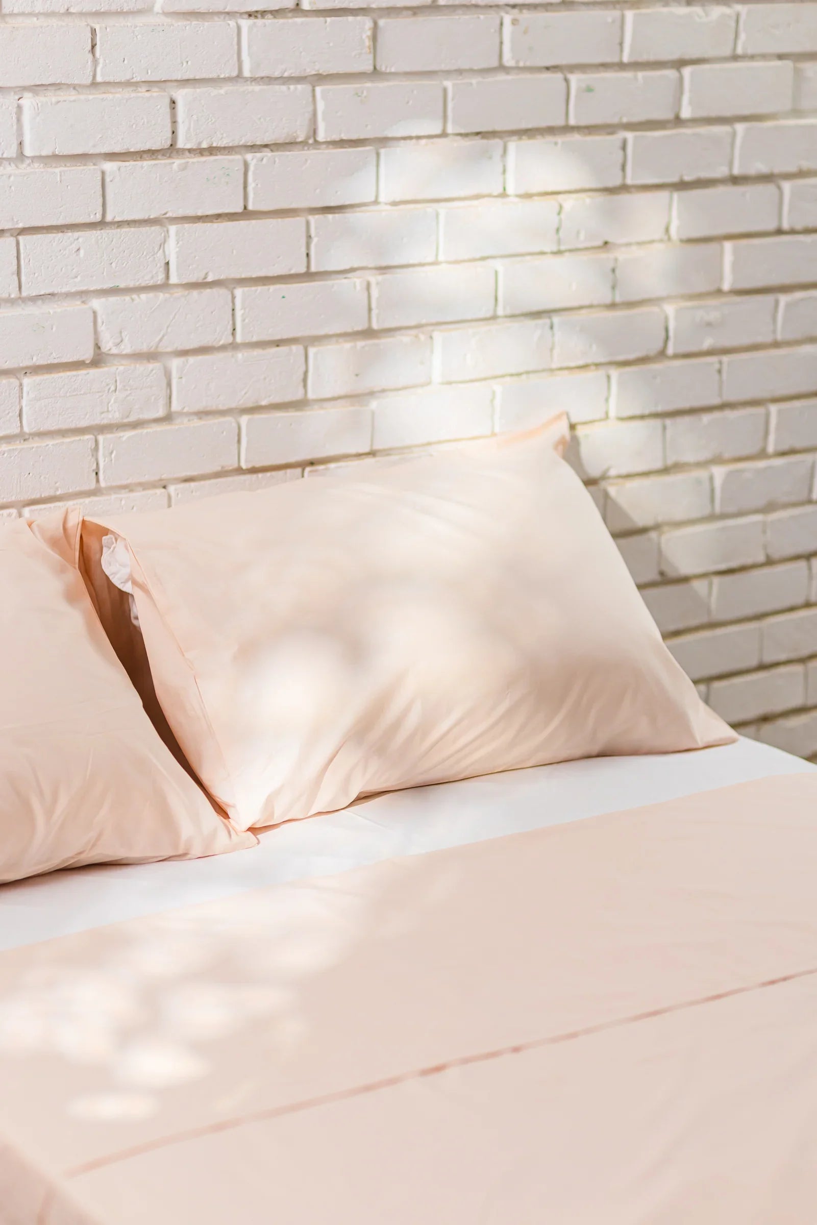 TC200 Flat King Bedsheet