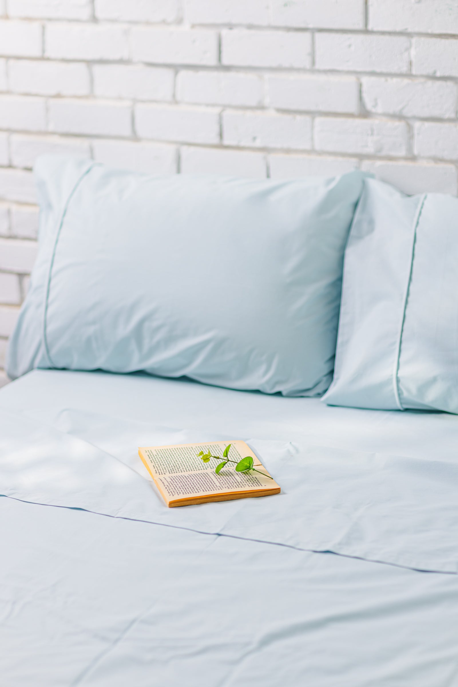 TC200 Flat Queen Bedsheet