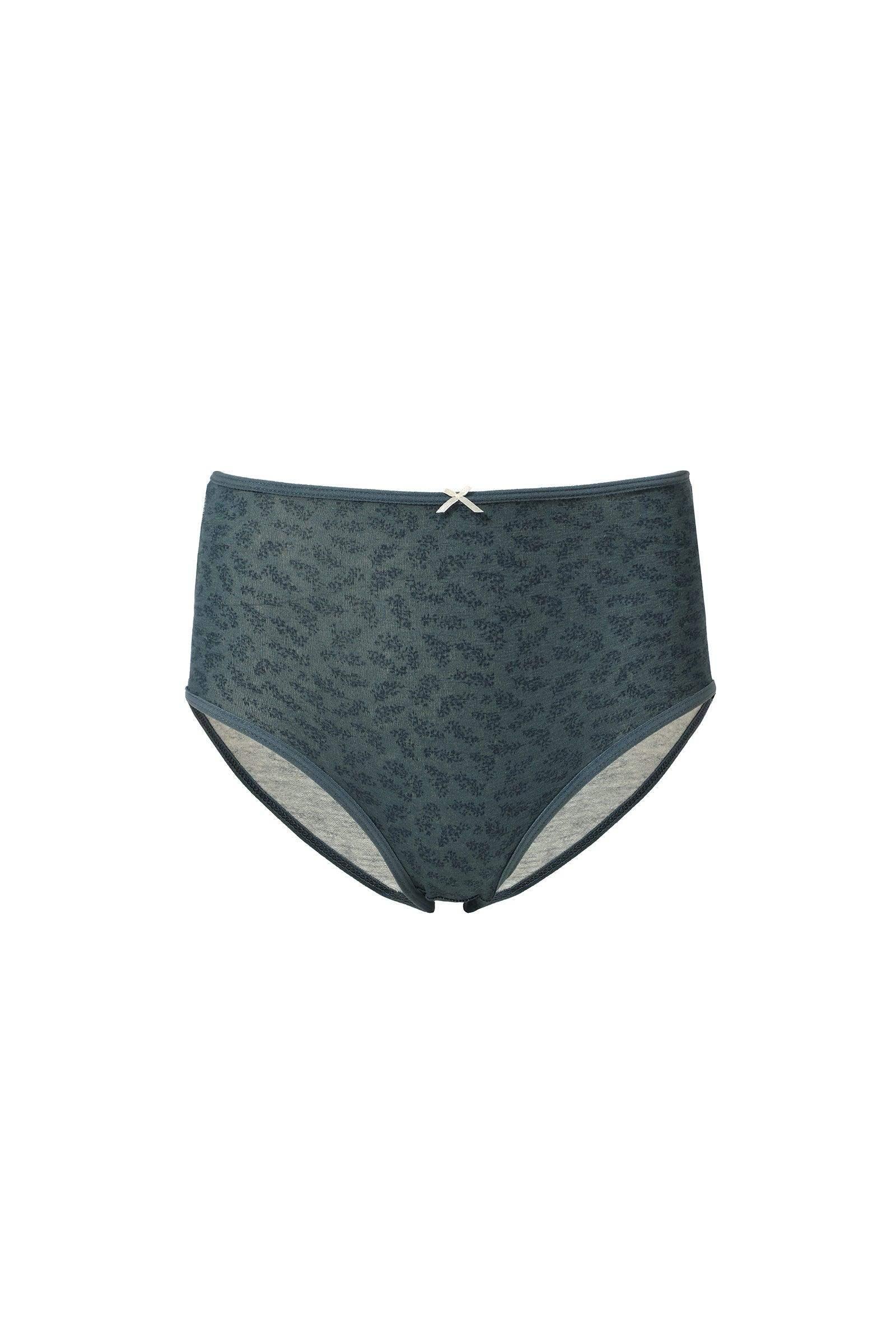 High Waisted Briefs - Pack of 3 - Carina - كارينا