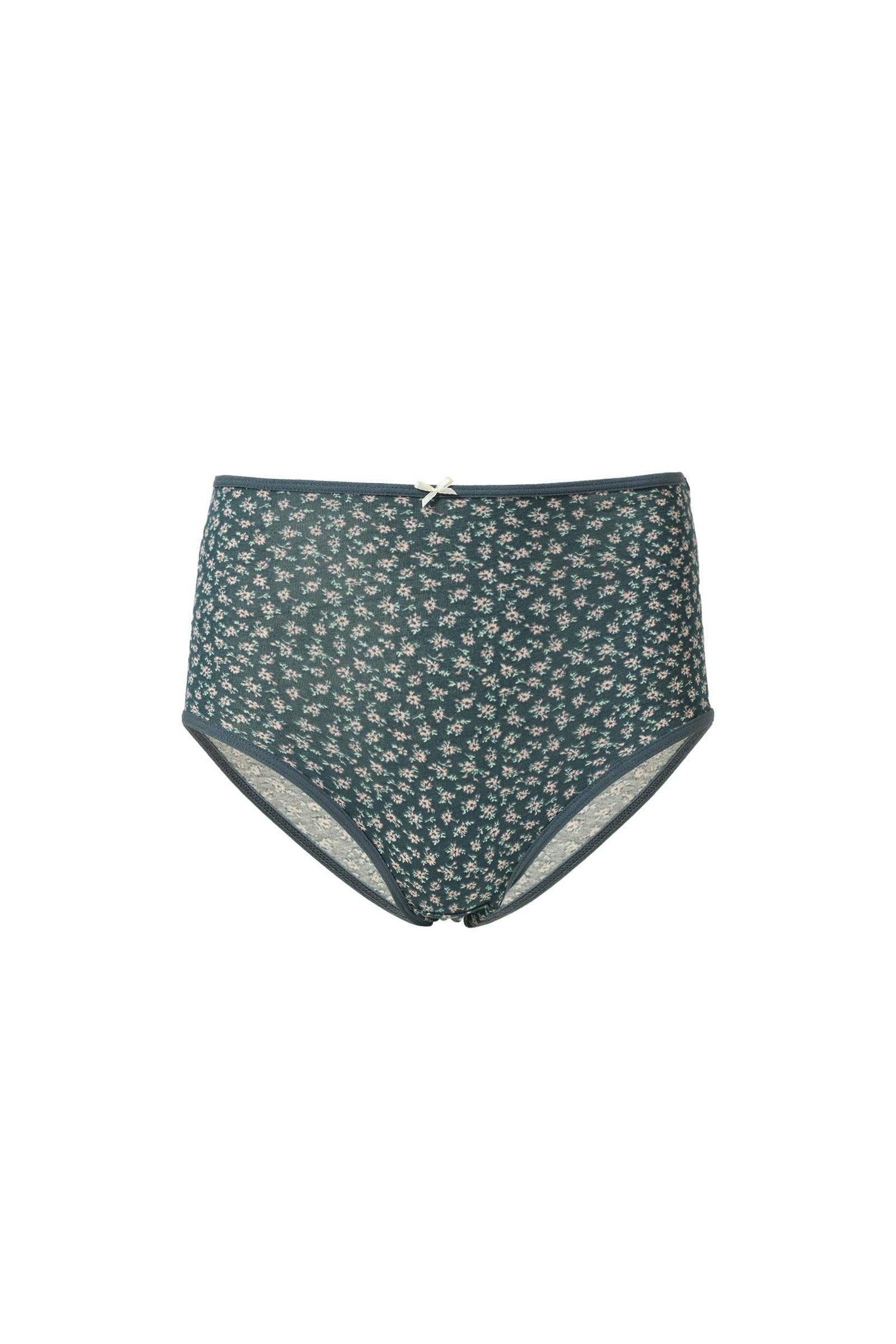 High Waisted Briefs - Pack of 3 - Carina - كارينا