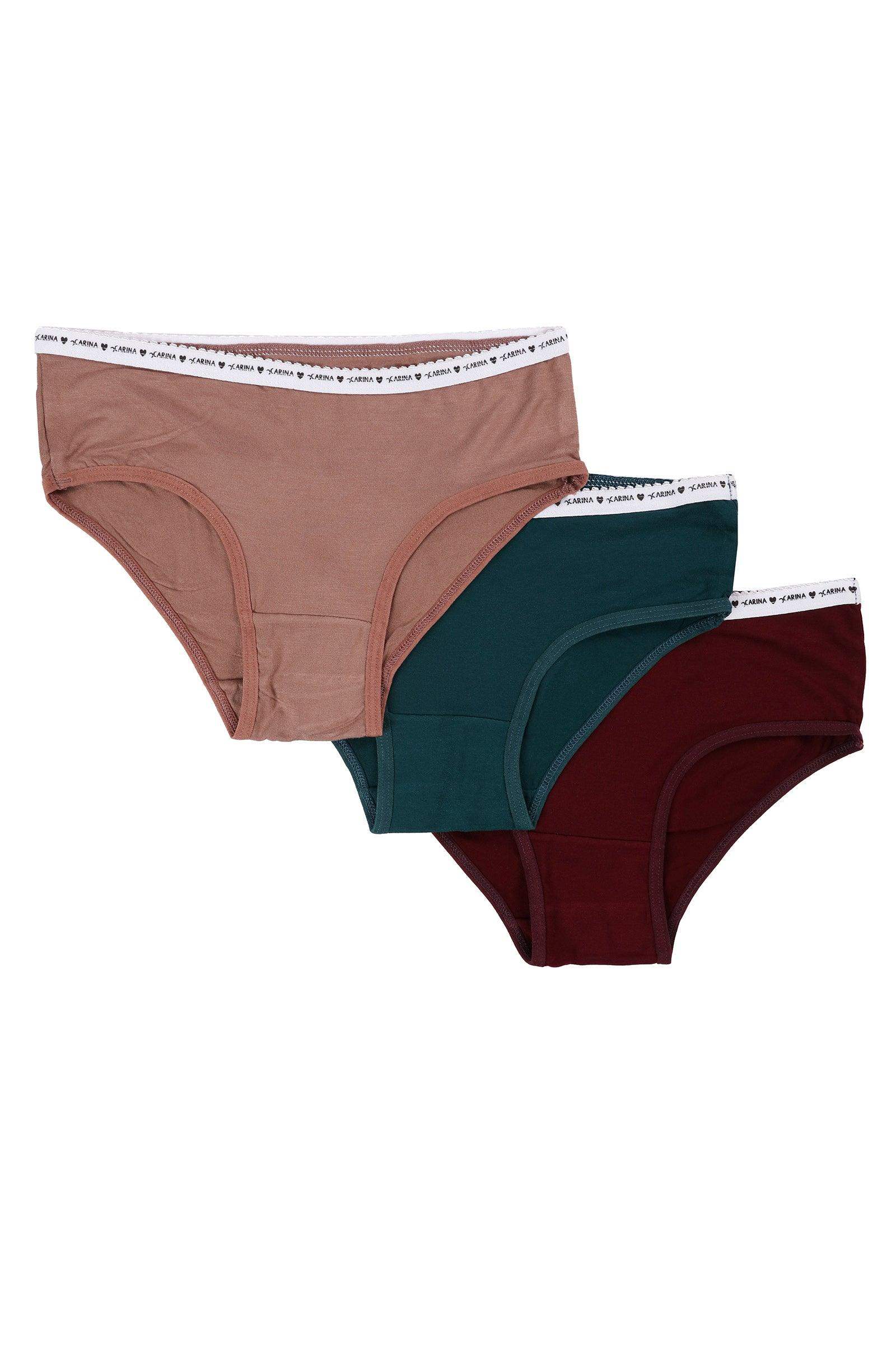 http://carinawear.com/cdn/shop/products/pack-of-3-colored-brief-panties-carina--1-31666391154928.jpg?v=1697988464