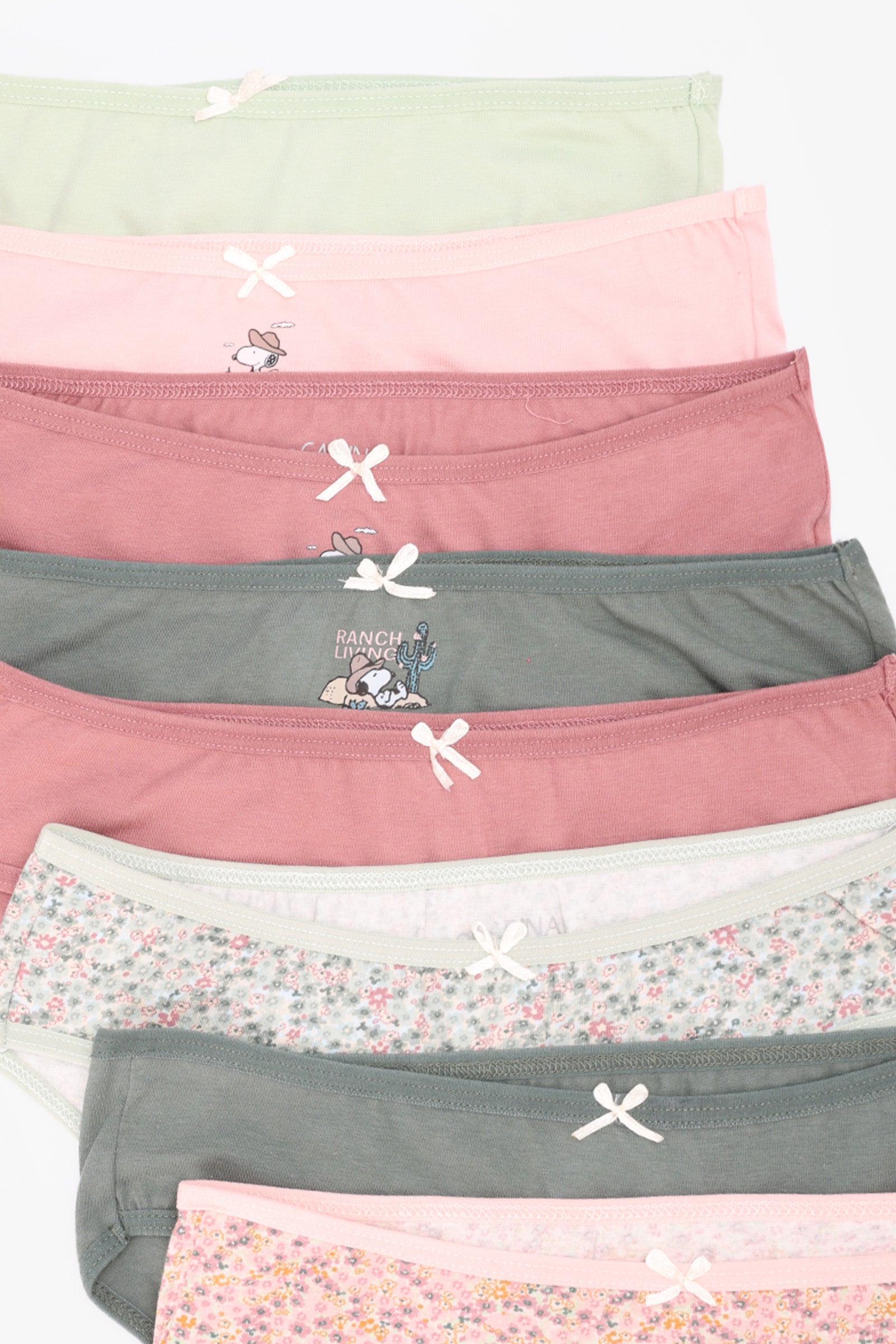 Pack of 10 Colored Bikini Panties