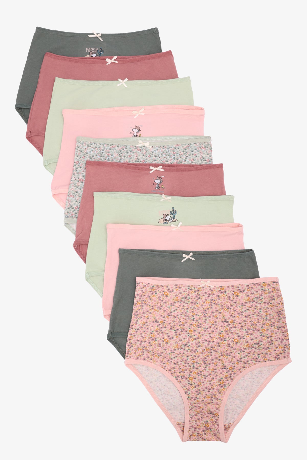 Pack of 10 Colored Full Brief Panties