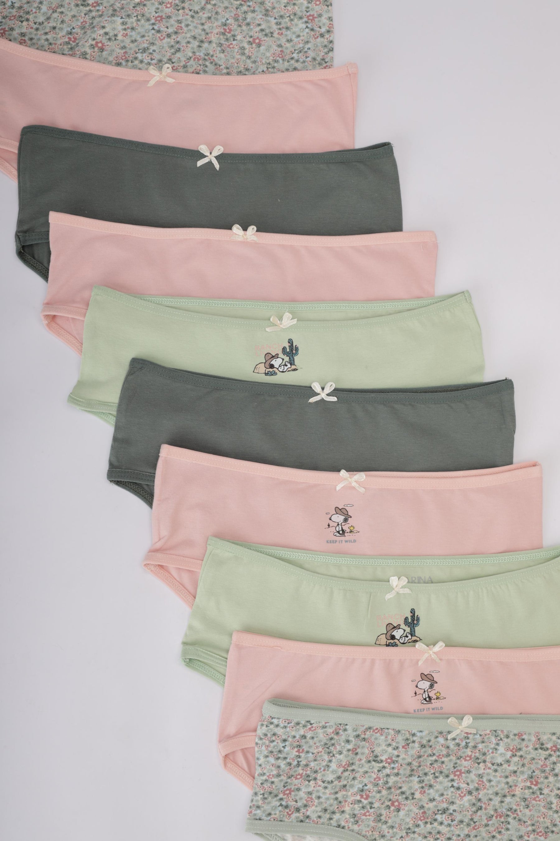 Pack of 10 Colored Brief Panties