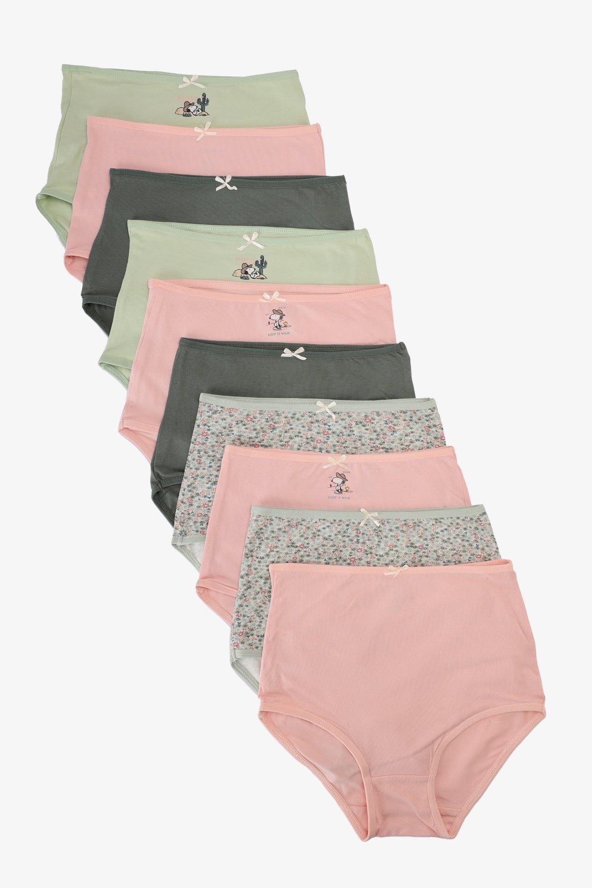 Pack of 10 Colored Full Brief Panties