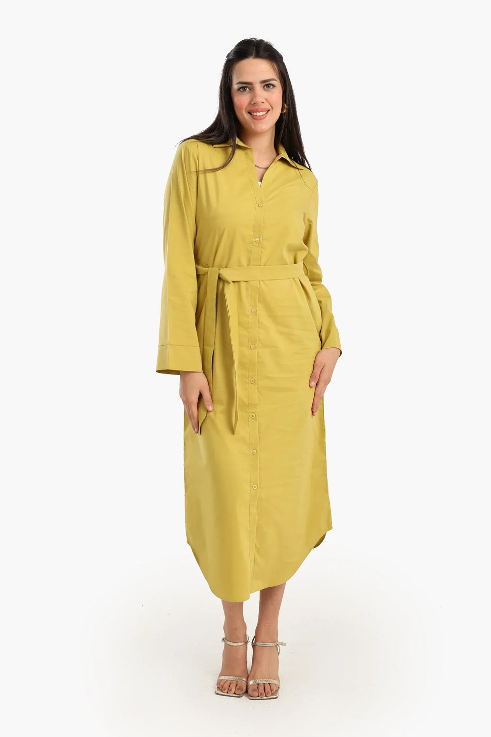 Classic Poplin Shirt Dress