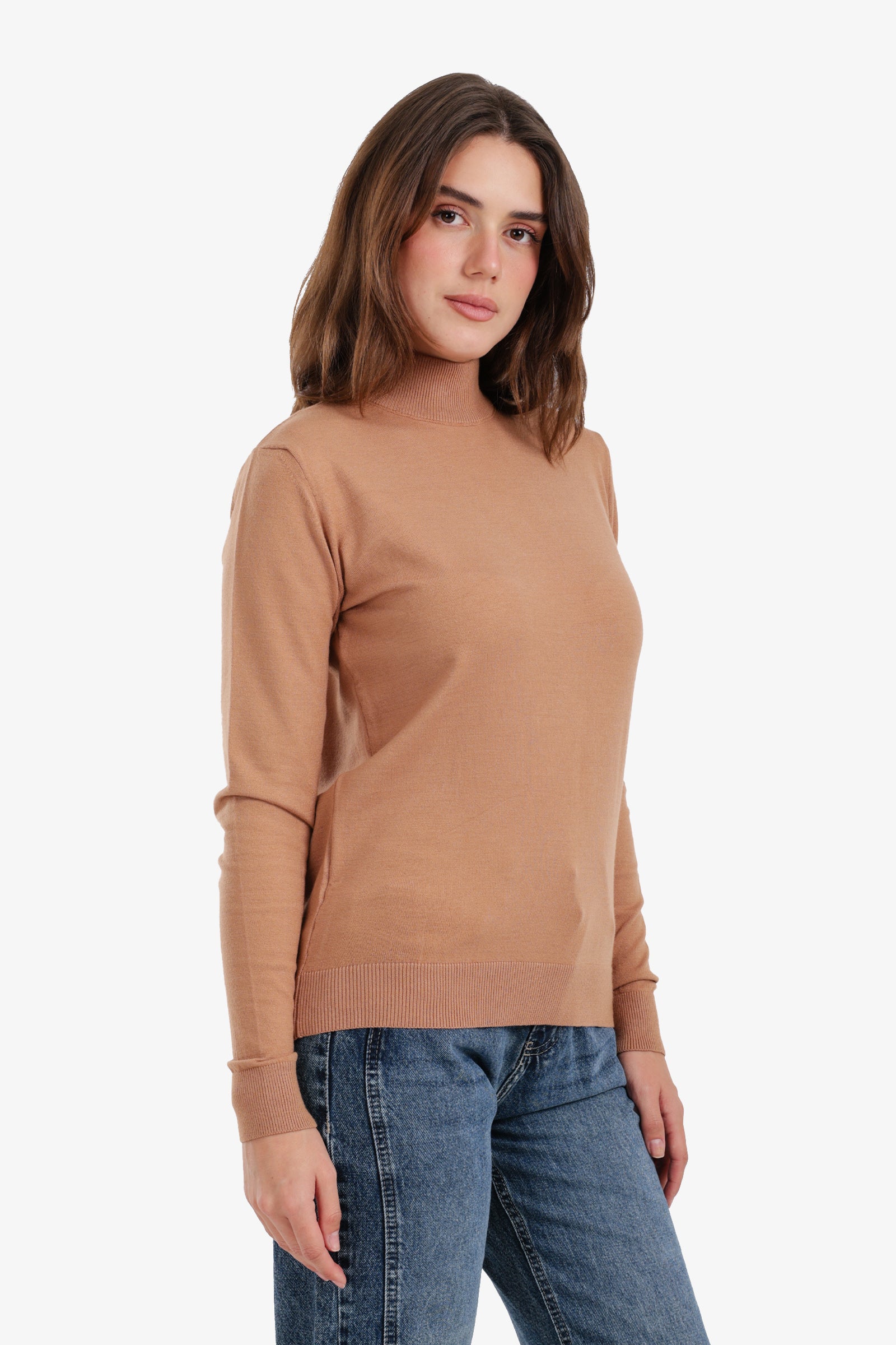 Slim Fit High Neck Pullover