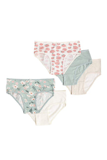Pack of 5 Colored Brief Panties