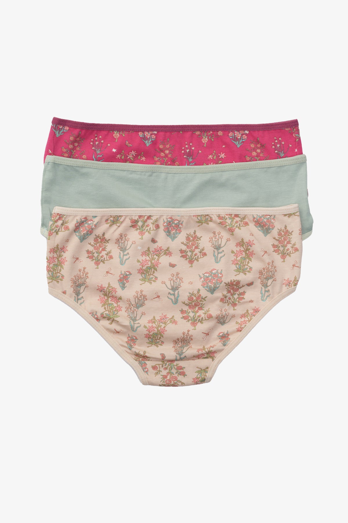 Pack of 3 Colored Brief Panties