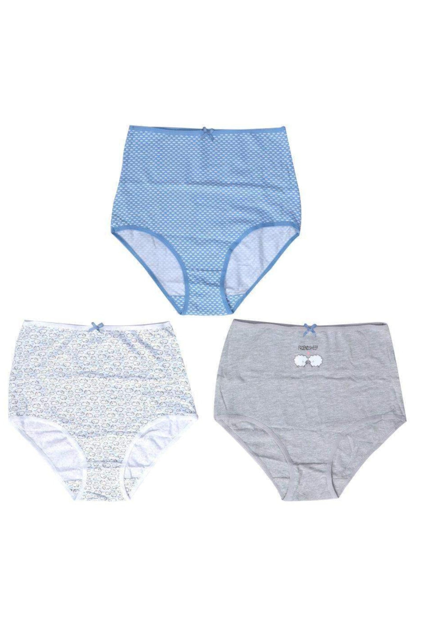 Pack of 3 Full Brief Panties