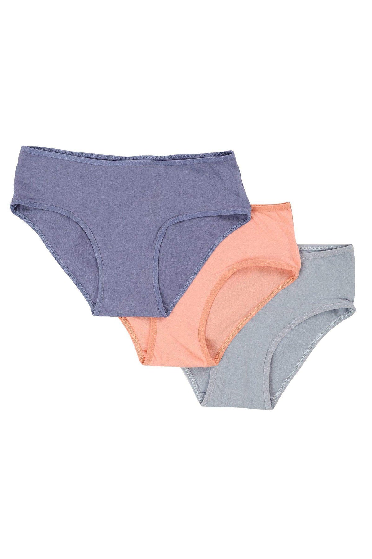 Pack of 3 Colored Brief Panties - Carina - كارينا